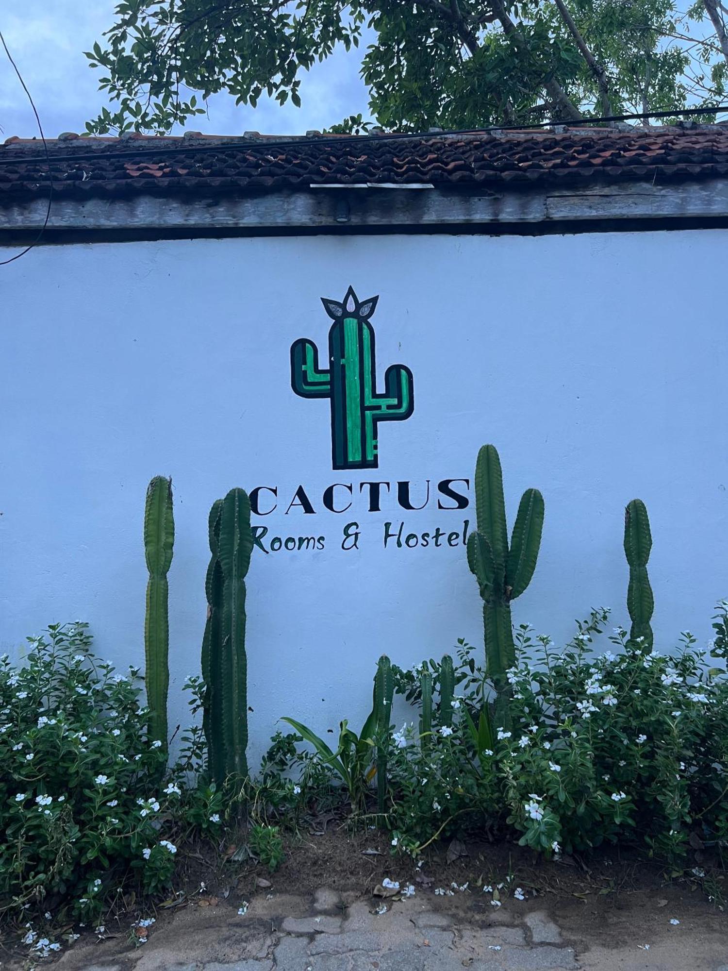 Cactus Arugambay Hostel Arugam Bay Kültér fotó
